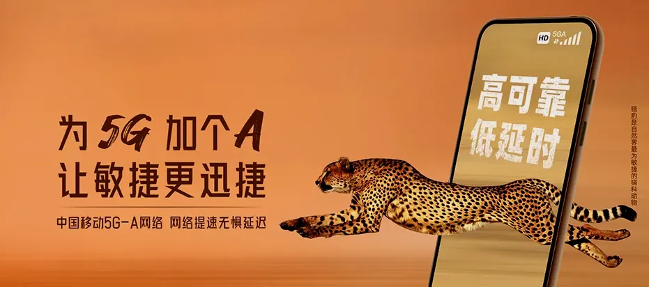 成华区成华区龙潭街道 移动宽带